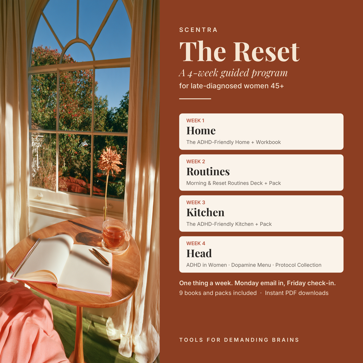 The Reset — 4-Week Guided Program